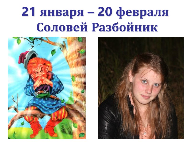 21 января – 20 февраля   Соловей Разбойник